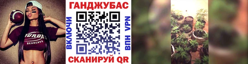 Канабис план Бавлы